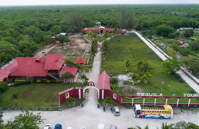 Tour panorámico por Cozumel - Foto 3