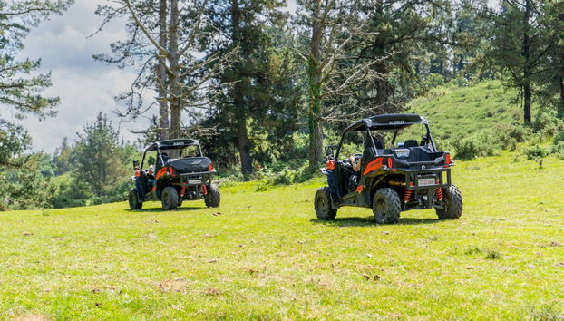 Tour in Piloña - Photo 2