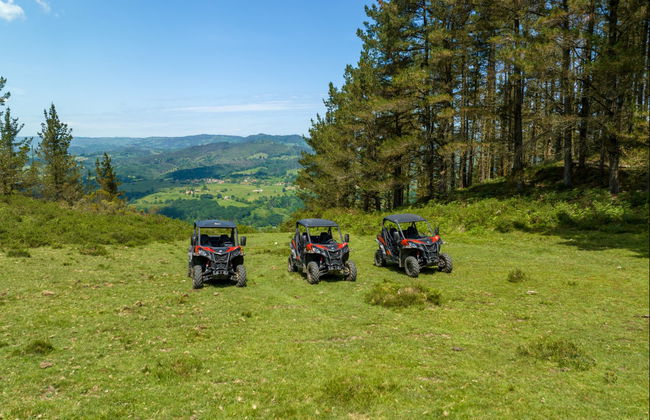 Tour di Piloña in buggy - Foto 4