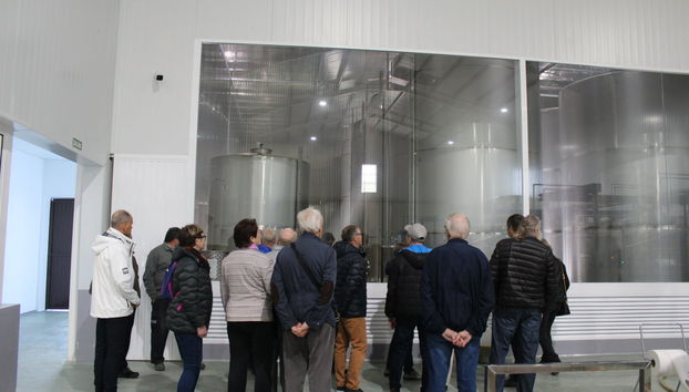 Visita a la fábrica y museo de Aceites Molisur con cata - Foto 4