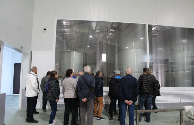 Visita a la fábrica y museo de Aceites Molisur con cata - Foto 4
