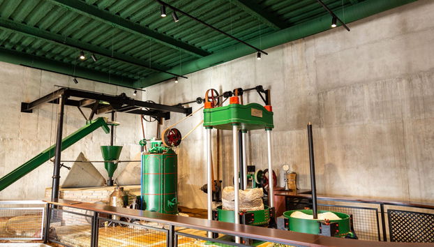 Visita a la fábrica y museo de Aceites Molisur con cata - Foto 5