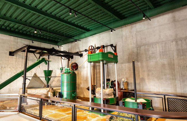 Visita a la fábrica y museo de Aceites Molisur con cata - Foto 5