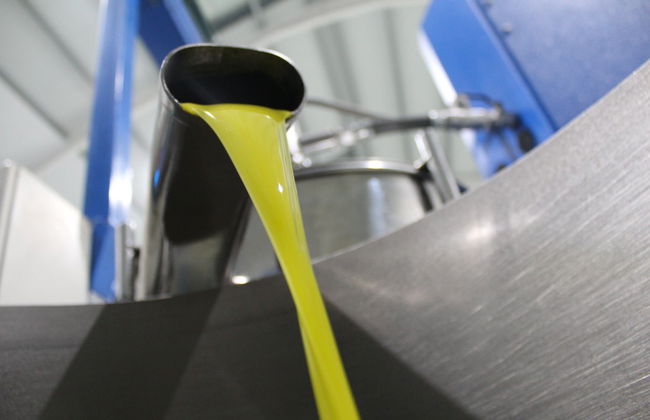 Visita a la fábrica y museo de Aceites Molisur con cata - Foto 6