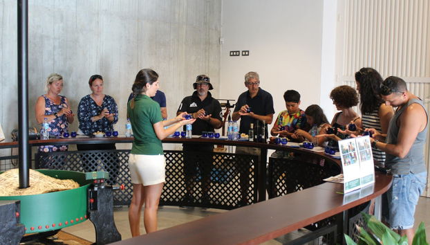 Visita a la fábrica y museo de Aceites Molisur con cata - Foto 2