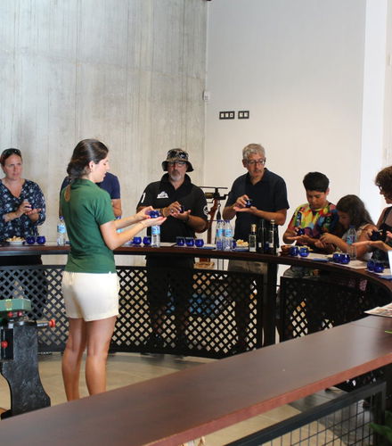 Foto de Visita a la fábrica y museo de Aceites Molisur con cata