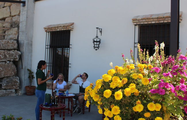 Visita a la fábrica y museo de Aceites Molisur con cata - Foto 3