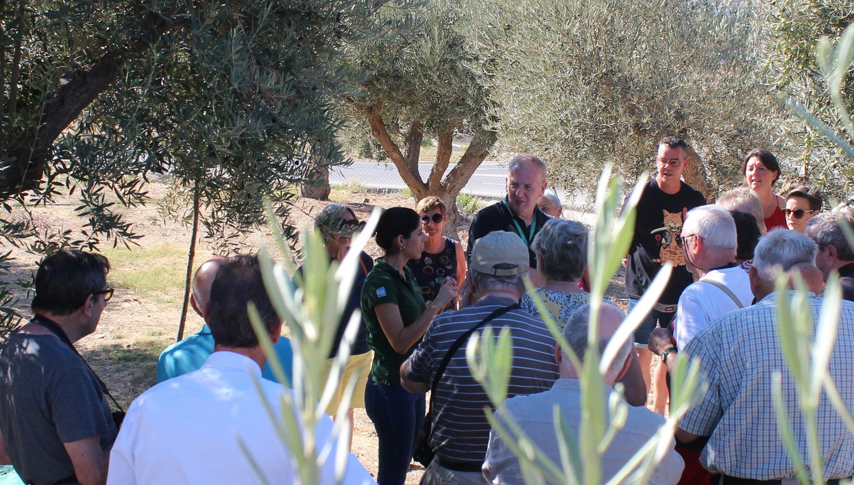 Visita a la fábrica y museo de Aceites Molisur con cata - Foto 1