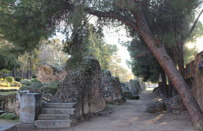 Visita guiada por el circo romano de Toledo - Photo 4