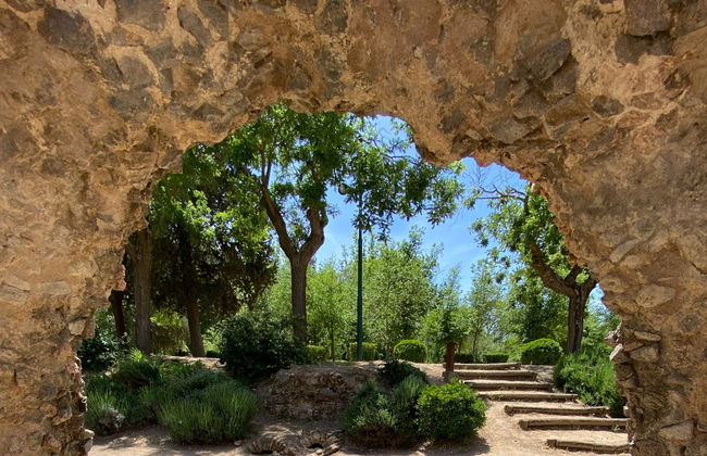 Visita guiada por el circo romano de Toledo - Photo 2