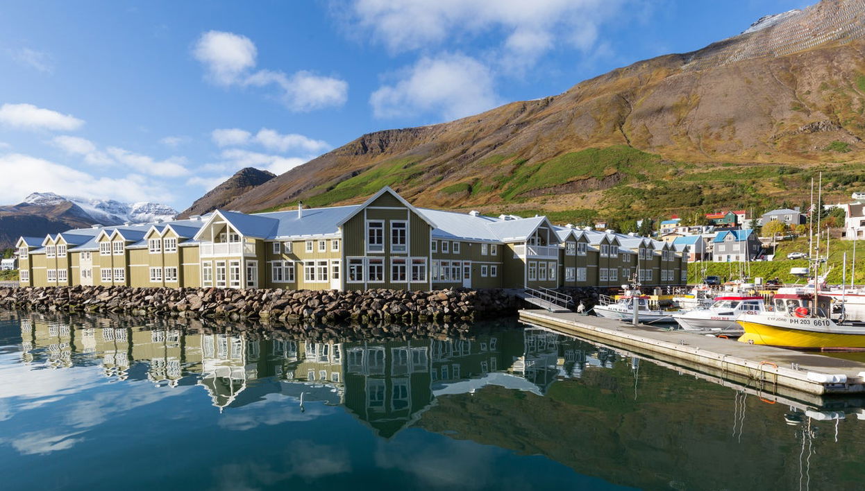 Day Trip to the Arctic Coast - Photo 1