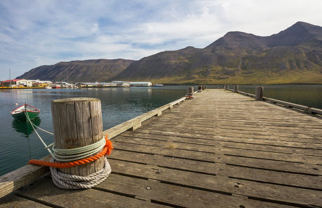 Day Trip to the Arctic Coast - Photo 6