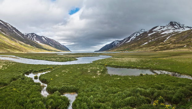 Day Trip to the Arctic Coast - Photo 4