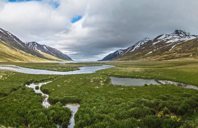 Day Trip to the Arctic Coast - Photo 4