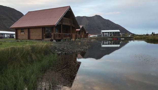 Day Trip to the Arctic Coast - Photo 5