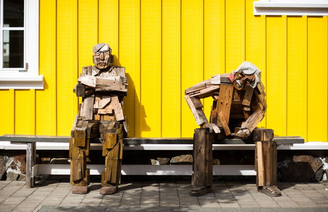 Day Trip to the Arctic Coast - Photo 3