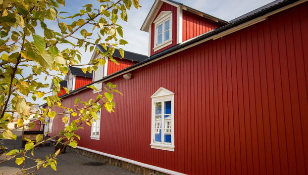 Day Trip to the Arctic Coast - Photo 2