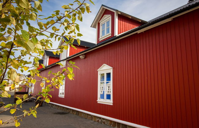 Day Trip to the Arctic Coast - Photo 2