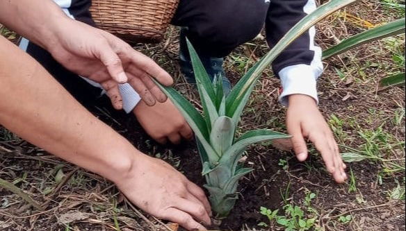 Visita a la finca Tierra Activa - Foto 2