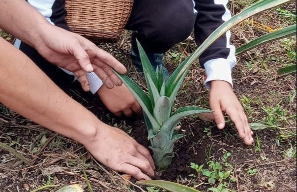 Visita a la finca Tierra Activa - Foto 2