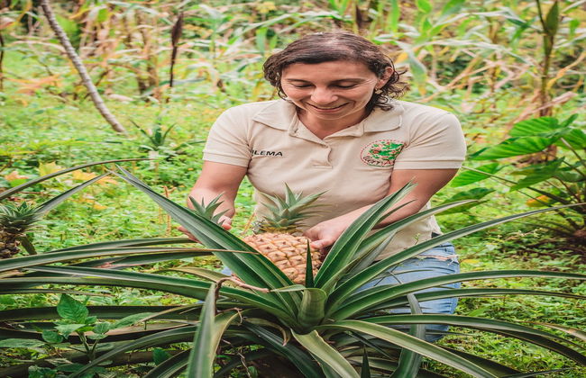 Visita a la finca Tierra Activa - Foto 7