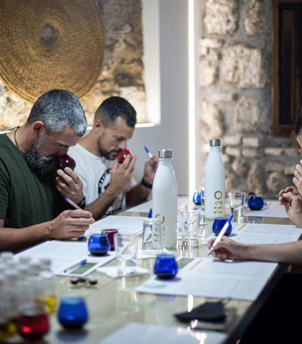 Foto de Cata de aceite de oliva en Cazorla