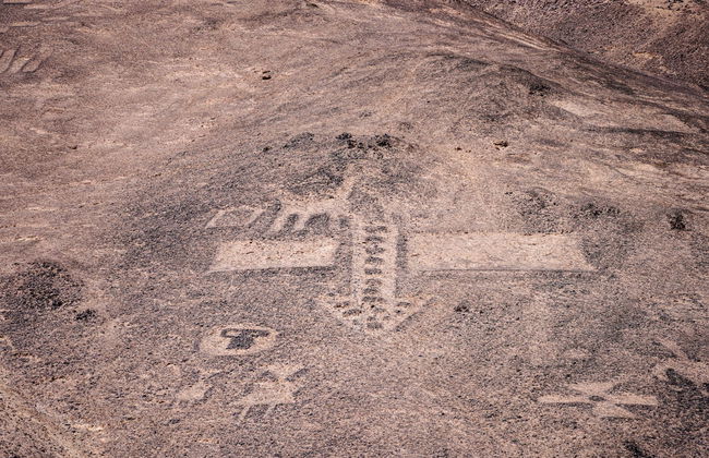 Chug-Chug Geoglyphs Private Tour - Photo 3