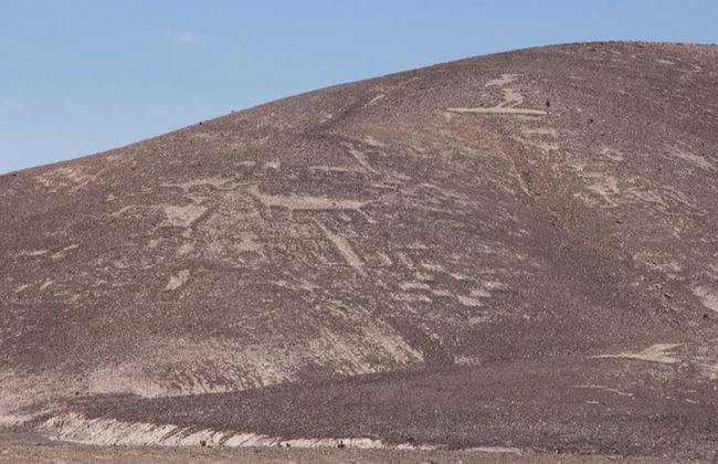 Excursión privada a los geoglifos de Chug Chug - Foto 3