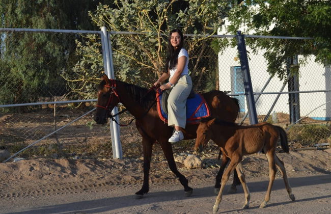 Paseo a caballo por Sharm el-Sheij - Foto 4