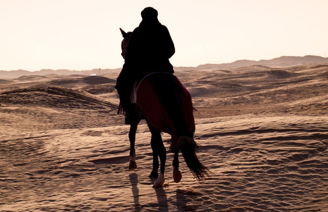 Paseo a caballo por Sharm el-Sheij - Foto 7