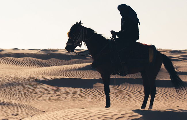 Paseo a caballo por Sharm el-Sheij - Foto 6