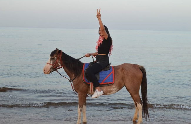 Paseo a caballo por Sharm el-Sheij - Foto 5