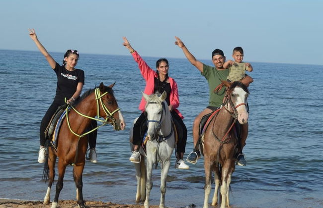 Paseo a caballo por Sharm el-Sheij - Foto 2
