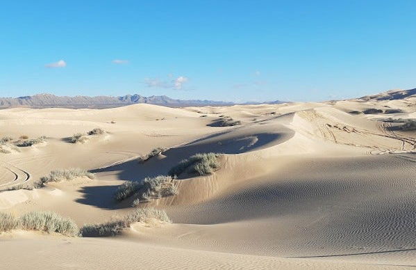 Sandboarding en las dunas de Samalayuca - Foto 4