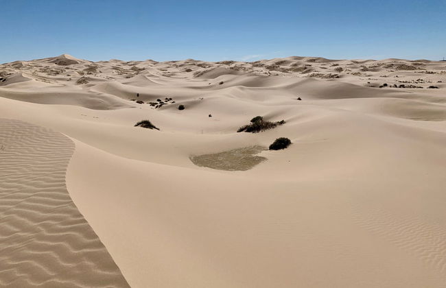 Sandboard aux dunes de Samalayuca - Photo 1