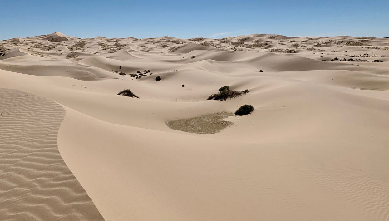 Sandboard aux dunes de Samalayuca - Photo 1