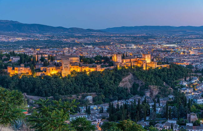 Visite guidée de l'Alhambra et des Palais Nasrides + Granada City Pass - Photo 11