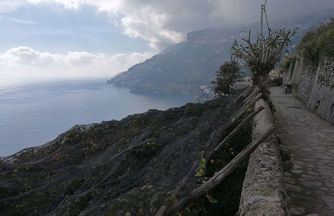 The Path of the Lemons Hike - Photo 7