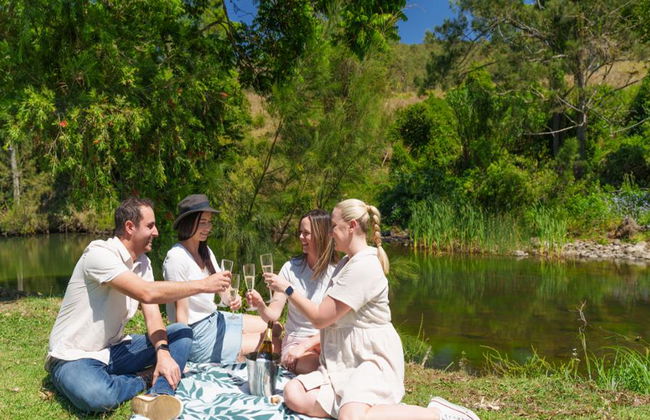 Lamington National Park, O’Reilly’s Rainforest y Canungra Valley Vineyard – Tour de día completo - Foto 9