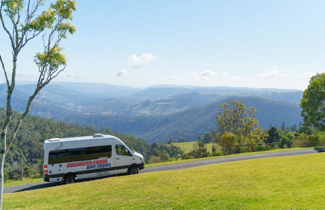 Lamington National Park, O’Reilly’s Rainforest und Canungra Valley Vineyard – Tagestour - Foto 2