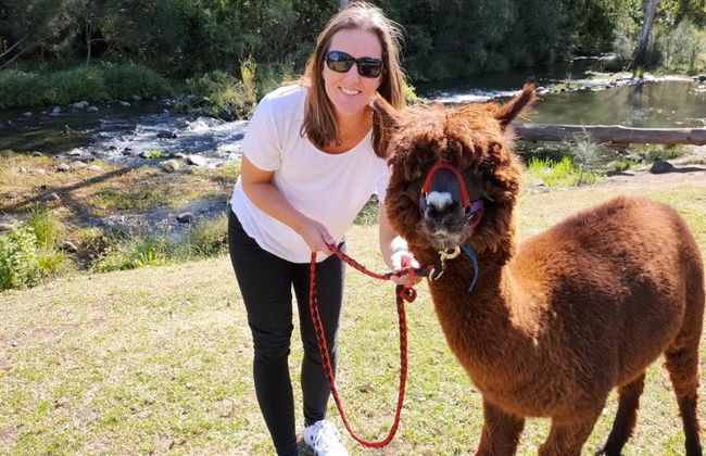 Lamington National Park, O’Reilly’s Rainforest und Canungra Valley Vineyard – Tagestour - Foto 1