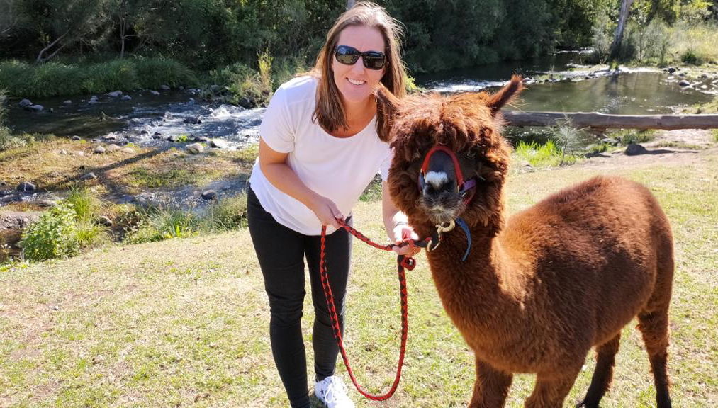 Lamington National Park, O’Reilly’s Rainforest und Canungra Valley Vineyard – Tagestour - Foto 1