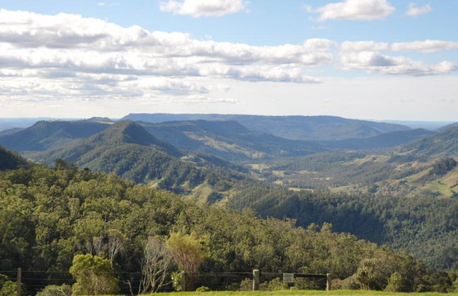 Lamington National Park, O’Reilly’s Rainforest und Canungra Valley Vineyard – Tagestour - Foto 12