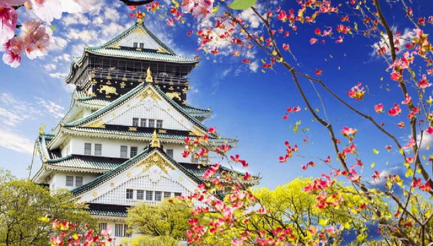 Tour panorámico por Osaka - Foto 3