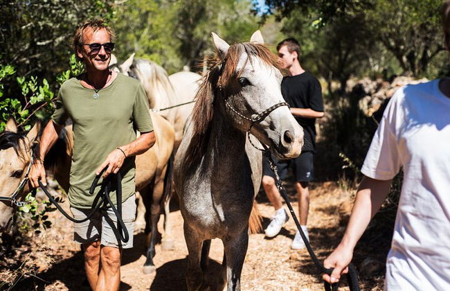Horse Sanctuary: Une promenade dans la nature avec Rescued Horses à vos côtés - Photo 5