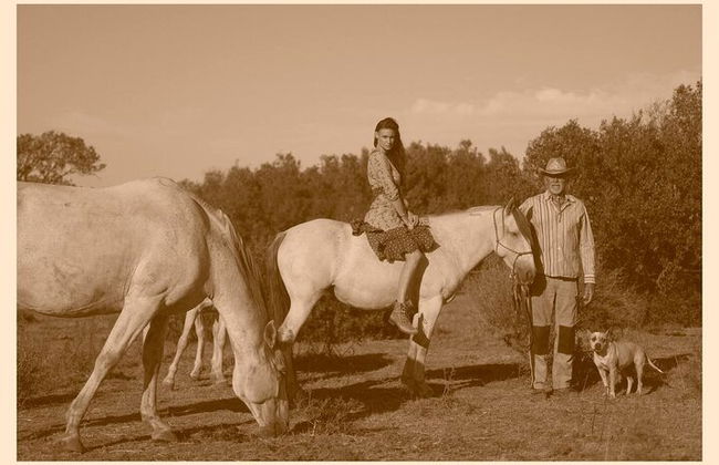 Horse Sanctuary: Une promenade dans la nature avec Rescued Horses à vos côtés - Photo 8