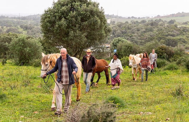 Horse Sanctuary: Une promenade dans la nature avec Rescued Horses à vos côtés - Photo 16