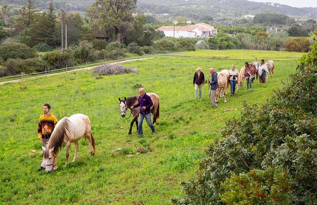 Horse Sanctuary: Une promenade dans la nature avec Rescued Horses à vos côtés - Photo 17