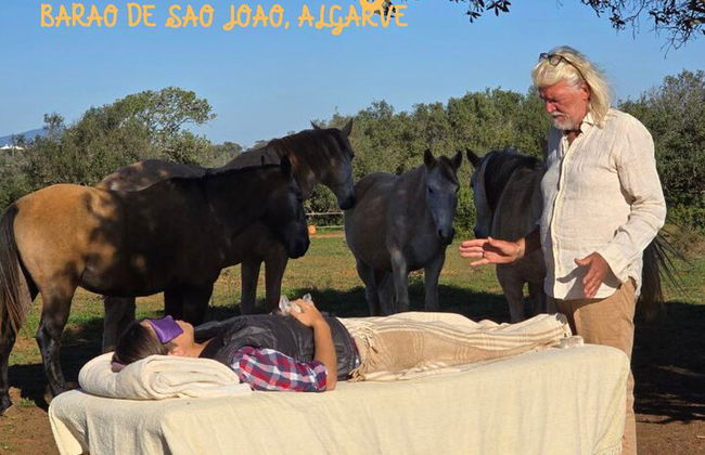 Horse Sanctuary: Une promenade dans la nature avec Rescued Horses à vos côtés - Photo 9