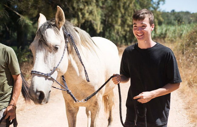 Horse Sanctuary: Une promenade dans la nature avec Rescued Horses à vos côtés - Photo 6